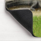 Amerikaanse alligator - Nice en stil Muismat (Hoek)