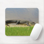 Amerikaanse alligator - Nice en stil Muismat (Met muis)