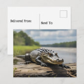 Amerikaanse Alligator op het land 's nachts volle  Briefkaart (Voorkant / Achterkant)