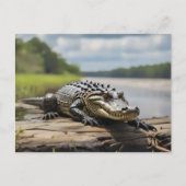 Amerikaanse Alligator op het land 's nachts volle  Briefkaart (Voorkant)