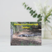 amerikaanse alligator post briefkaart (Staand voorkant)