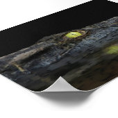 Amerikaanse Alligator Poster (Hoek)