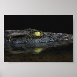 Amerikaanse Alligator Poster