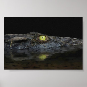 Amerikaanse Alligator Poster
