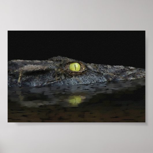 Amerikaanse Alligator Poster (Voorkant)