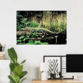 Amerikaanse Alligator Poster (Thuiskantoor)