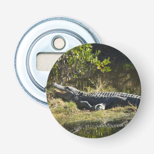 Amerikaanse alligator rustend langs een Florida we Button Flesopener (Voorkant)