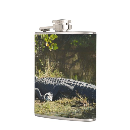 Amerikaanse alligator rustend langs een Florida-we Heupfles (Links)