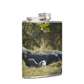 Amerikaanse alligator rustend langs een Florida-we Heupfles (Rechts)