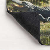 Amerikaanse alligator rustend langs een Florida we Muismat (Hoek)