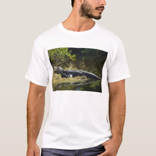 Amerikaanse alligator rustend langs een Florida we T-shirt (Voorkant)