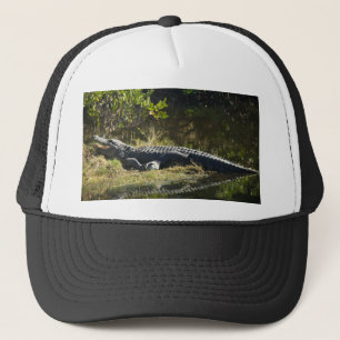 Amerikaanse alligator rustend langs natuur wetland trucker pet