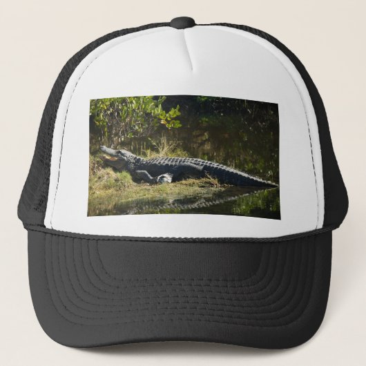 Amerikaanse alligator rustend langs natuur wetland trucker pet (Voorkant)