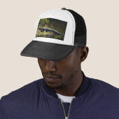 Amerikaanse alligator rustend langs natuur wetland trucker pet (In situ)