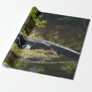Amerikaanse alligator rustend wetland natuur foto cadeaupapier