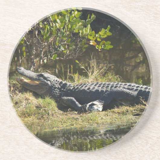 Amerikaanse Alligator Rustend Wetland Natuur Zandsteen Onderzetter (Voorkant)