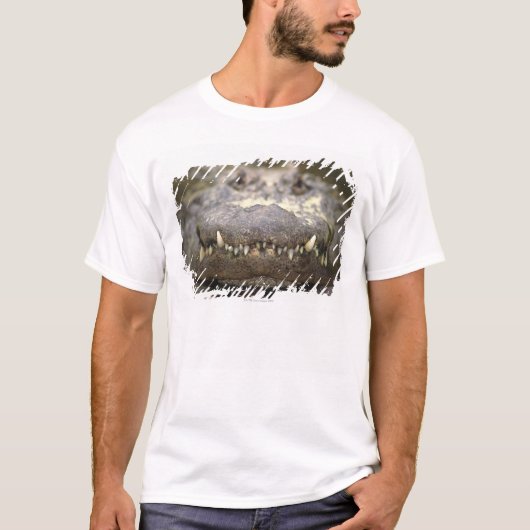 Amerikaanse Alligator T-shirt (Voorkant)