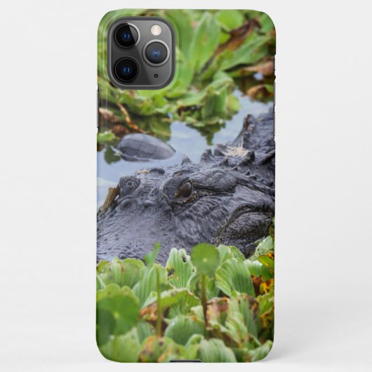 Amerikaanse Alligator tussen de planten - Levendig iPhone Hoesje (Achterkant)