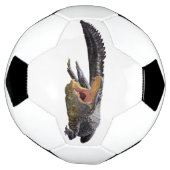 Amerikaanse alligator - Wilde flora in Florida Voetbal (Gedraaid)