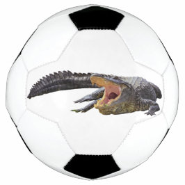 Amerikaanse alligator - Wilde flora in Florida Voetbal