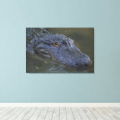 Amerikaanse alligator Wildlife fotografie Canvas Afdruk (Insitu (Houten vloer))