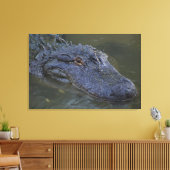 Amerikaanse alligator Wildlife fotografie Canvas Afdruk (Insitu (Woonkamer))
