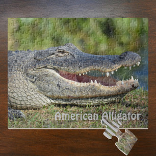 Amerikaanse alligator Wildlife fotografie Legpuzzel