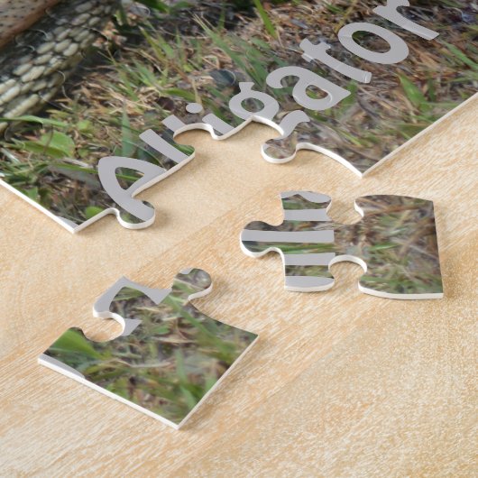 Amerikaanse alligator Wildlife fotografie Legpuzzel (Zijkant)