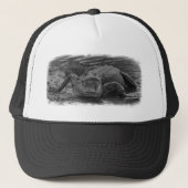 Amerikaanse alligator zwarte en witte fotografie trucker pet (Voorkant)