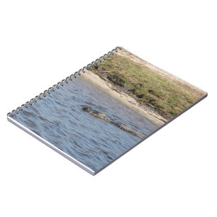 Amerikaanse alligator zwemt in een moeras notitieboek