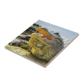 Amerikaanse Alligatorfoto. Gezichtelijk Tegeltje (Zijkant)
