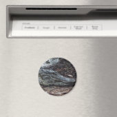 Amerikaanse alligatormagneet magneet (Insitu (Vaatwasser))