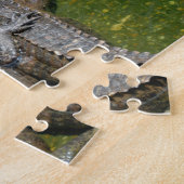 Amerikaanse Alligators Legpuzzel (Zijkant)
