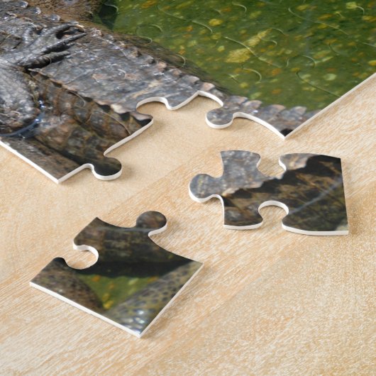 Amerikaanse Alligators Legpuzzel (Zijkant)