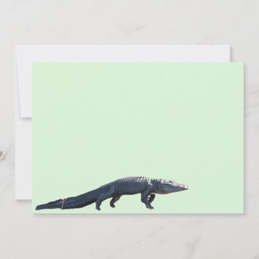 Amerikaanse alligators plat Wenskaart Kaart (Achterkant)