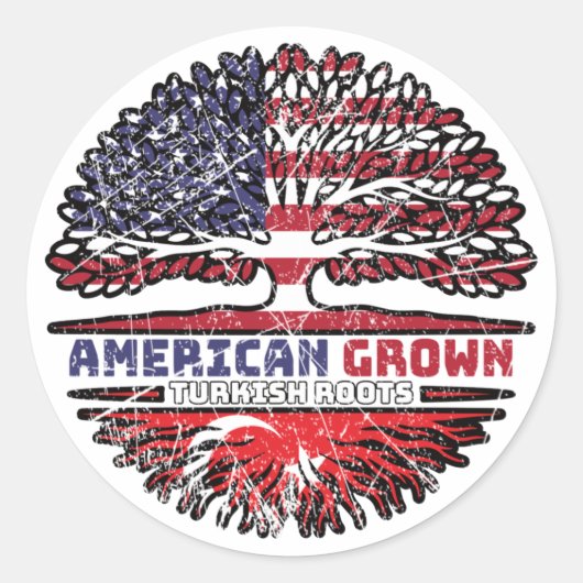 Amerikaanse Amerikaanse Amerikaanse Amerikaanse Am Ronde Sticker (Voorkant)