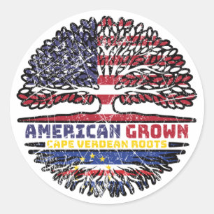 Amerikaanse Amerikaanse Kaapverdische Amerikaanse  Ronde Sticker