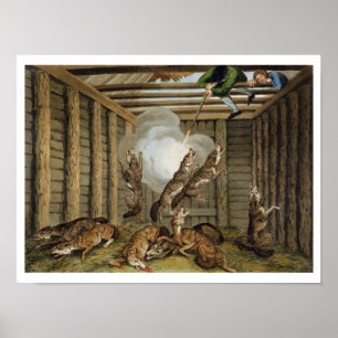 Amerikaanse anekdote: De Wolven afschieten, gegrav Poster