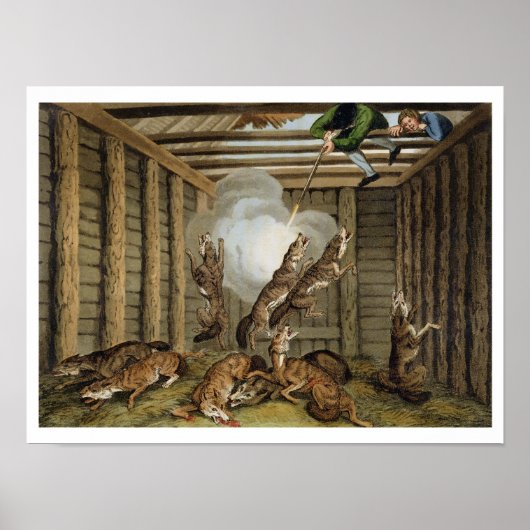 Amerikaanse anekdote: De Wolven afschieten, gegrav Poster (Voorkant)