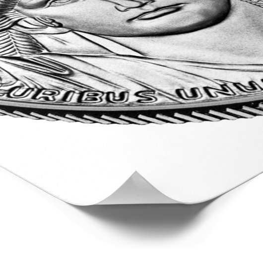 Amerikaanse arena Platinum Reverse Proof Coins Poster (Hoek)