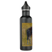 Amerikaanse Badlands: Old West Cowboy met paard Waterfles (Links)