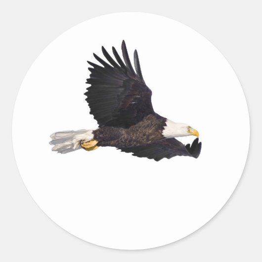 Amerikaanse Bald-adelaar Ronde Sticker (Voorkant)