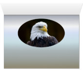 Amerikaanse Bald Eagle (Binenzijde Horizontaal (Onderkant))
