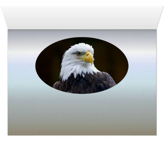 Amerikaanse Bald Eagle (Binenzijde Horizontaal (Onderkant))