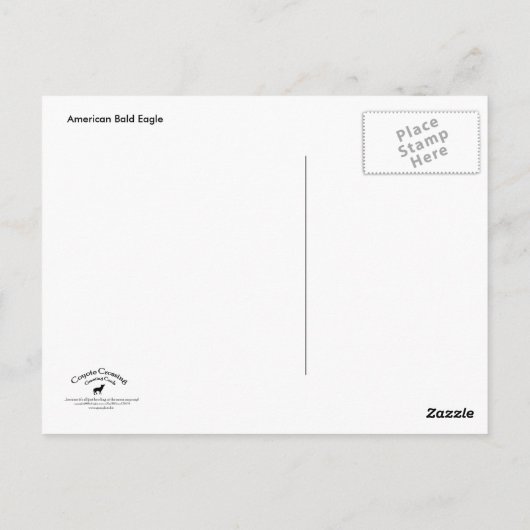 Amerikaanse Bald Eagle 2 Briefkaart (Achterkant)