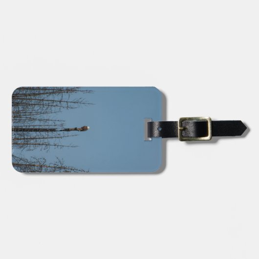 Amerikaanse Bald Eagle 8974 Bagagelabel (Voorkant horizontaal)