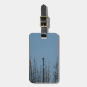 Amerikaanse Bald Eagle 8974 Bagagelabel (Voorkant verticaal)