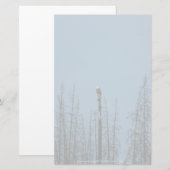 Amerikaanse Bald Eagle 8974 Briefpapier (Voorkant / Achterkant)
