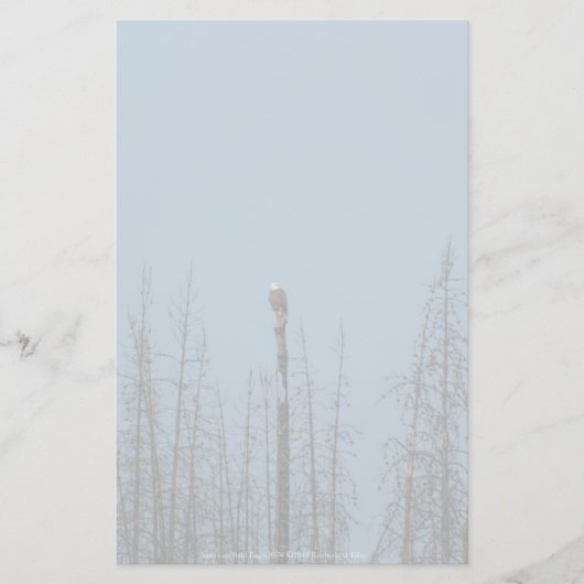 Amerikaanse Bald Eagle 8974 Briefpapier (Voorkant)