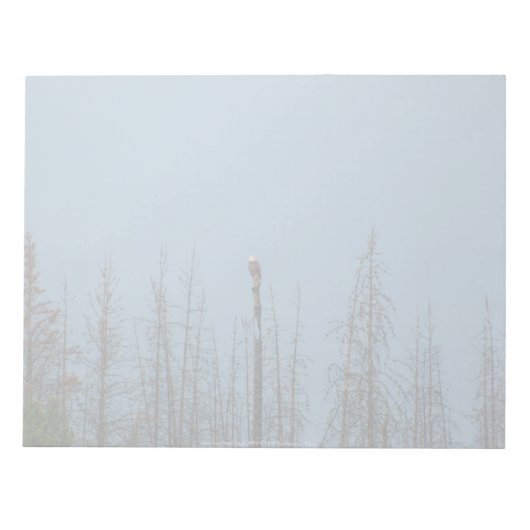 Amerikaanse Bald Eagle 8974 Notitieblok (Voorkant)